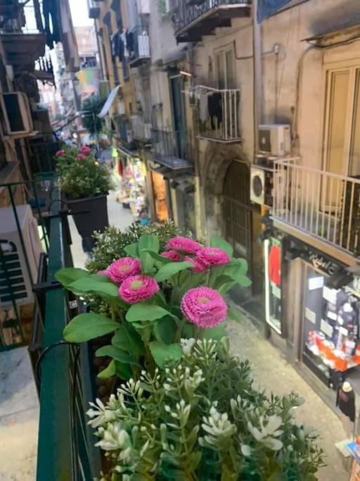La Casa Di Patta A Spaccanapoli Εξωτερικό φωτογραφία
